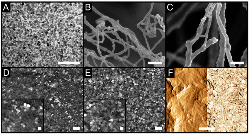 Morphological-characterization-of-the-materials-A-TEM-micrograph-of-titania.png