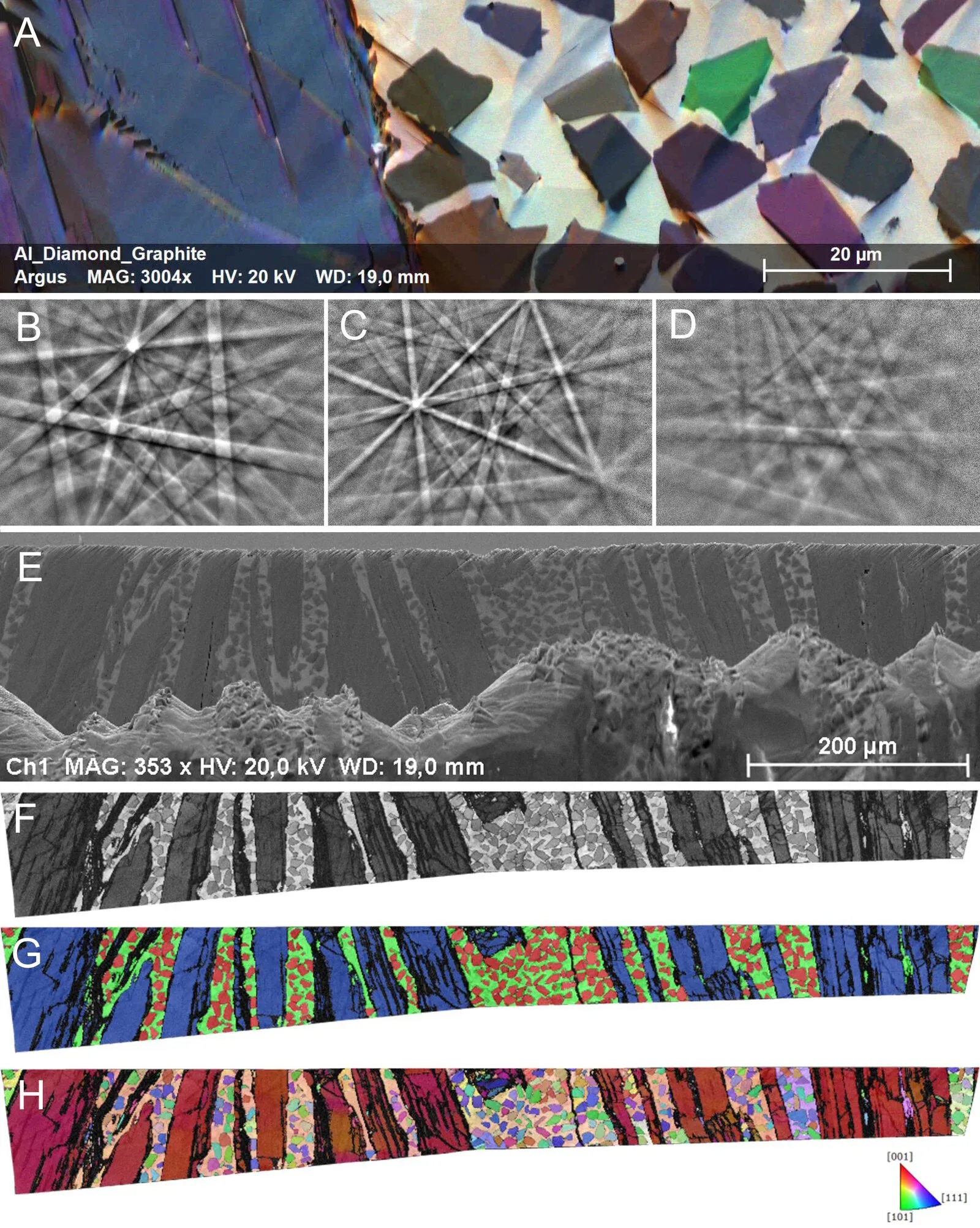 csm_ARGUS_FSE_BSE_image_EBSD_patterns_SEM_image_2b2a1bb5d7.webp